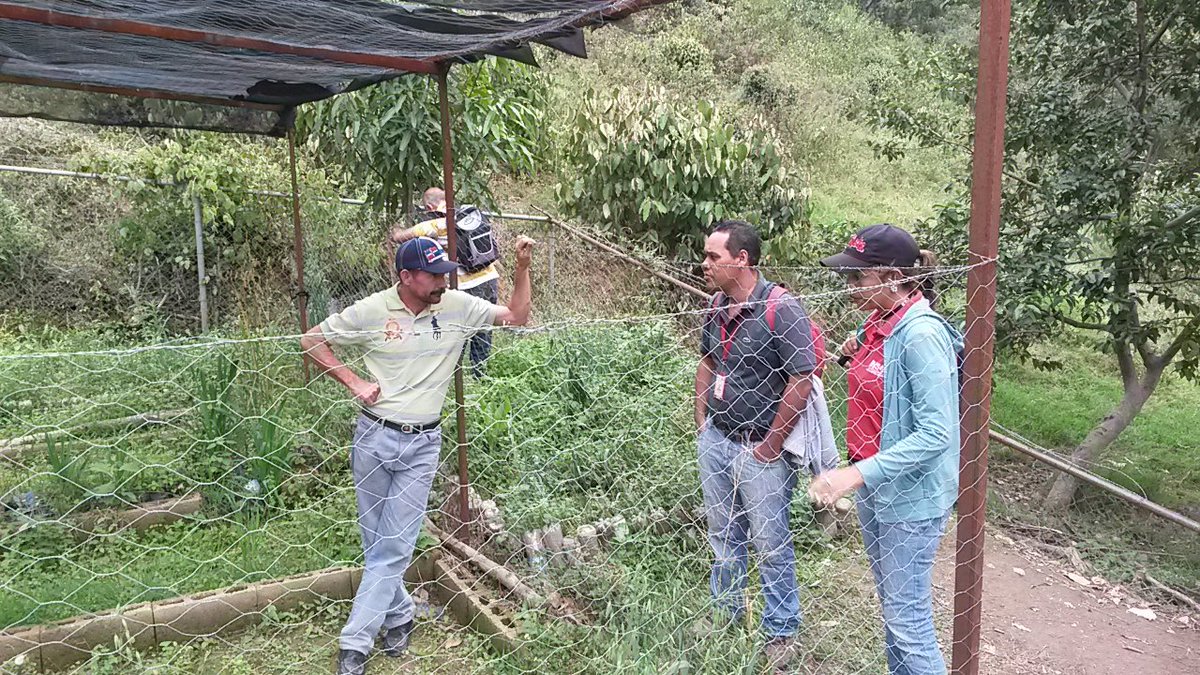 JohanFreitez1's tweet photo. Equipo #AgriculturaUrbanaJiménez Presente en Mesas de trabajo para el Impulso #ProyectoCerealesYLeguminosas zona alta Mcpio Moran #Activad@s https://t.co/8SPEELHK6F