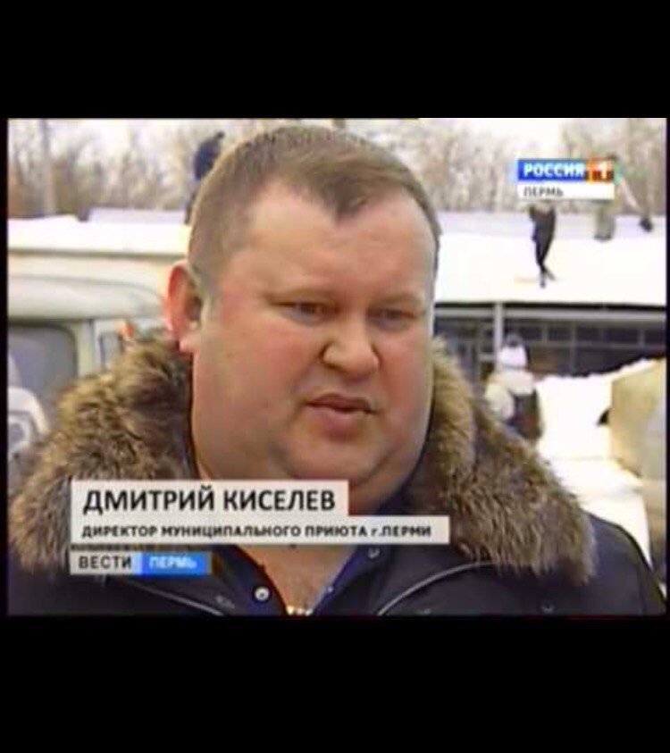 RussiaAnimals's tweet photo. Кто насилует собак в Пермском приюте? https://t.co/YL3nwesYVr #животныероссии #пермь #россия #новости #помощьживотным #бездомныеживотные https://t.co/XyAPiAnSu6