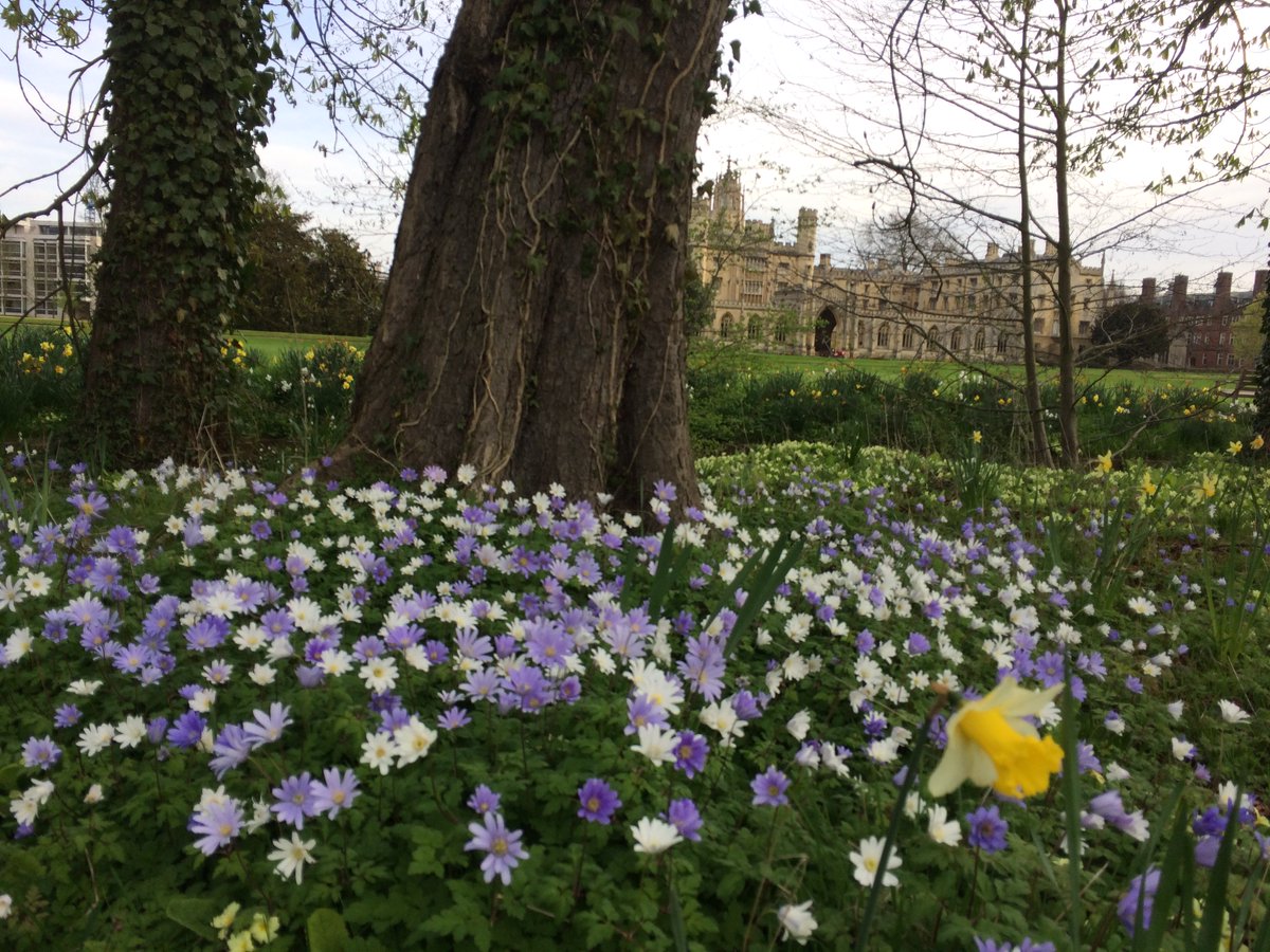 Save The West Fields tweet media