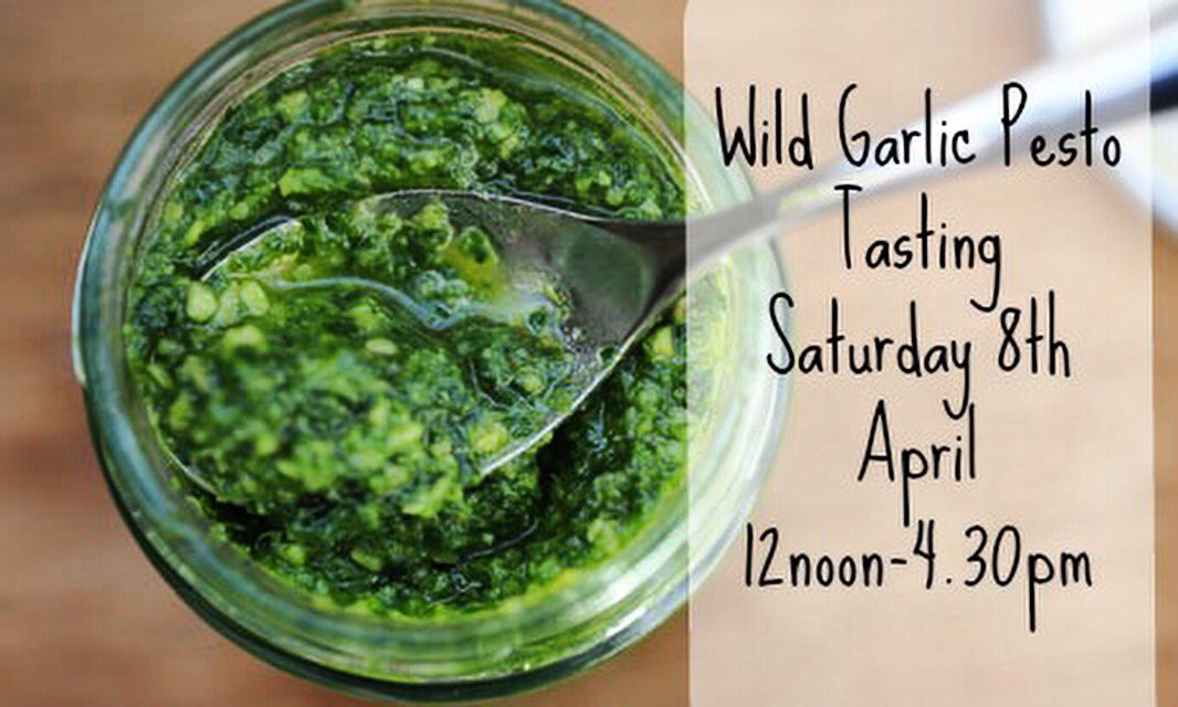 It's wild garlic season.Looking forward to <a href="/Trotters_iC/">Mr. Trotter</a> Wild Garlic Pesto tasting next weekend <a href="/FoodFromFife/">Food From Fife</a> <a href="/welcometofife/">Welcome to Fife</a> <a href="/EastNeukofFife/">East Neuk of Fife</a>