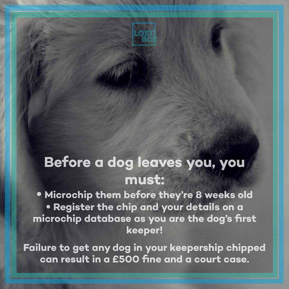 LostboxUK's tweet photo. Confused about why you need to get your dog microchipped? Find out here! Please RT! #CheckandChip https://t.co/v1DMy71Wge https://t.co/foi5MQbeHo