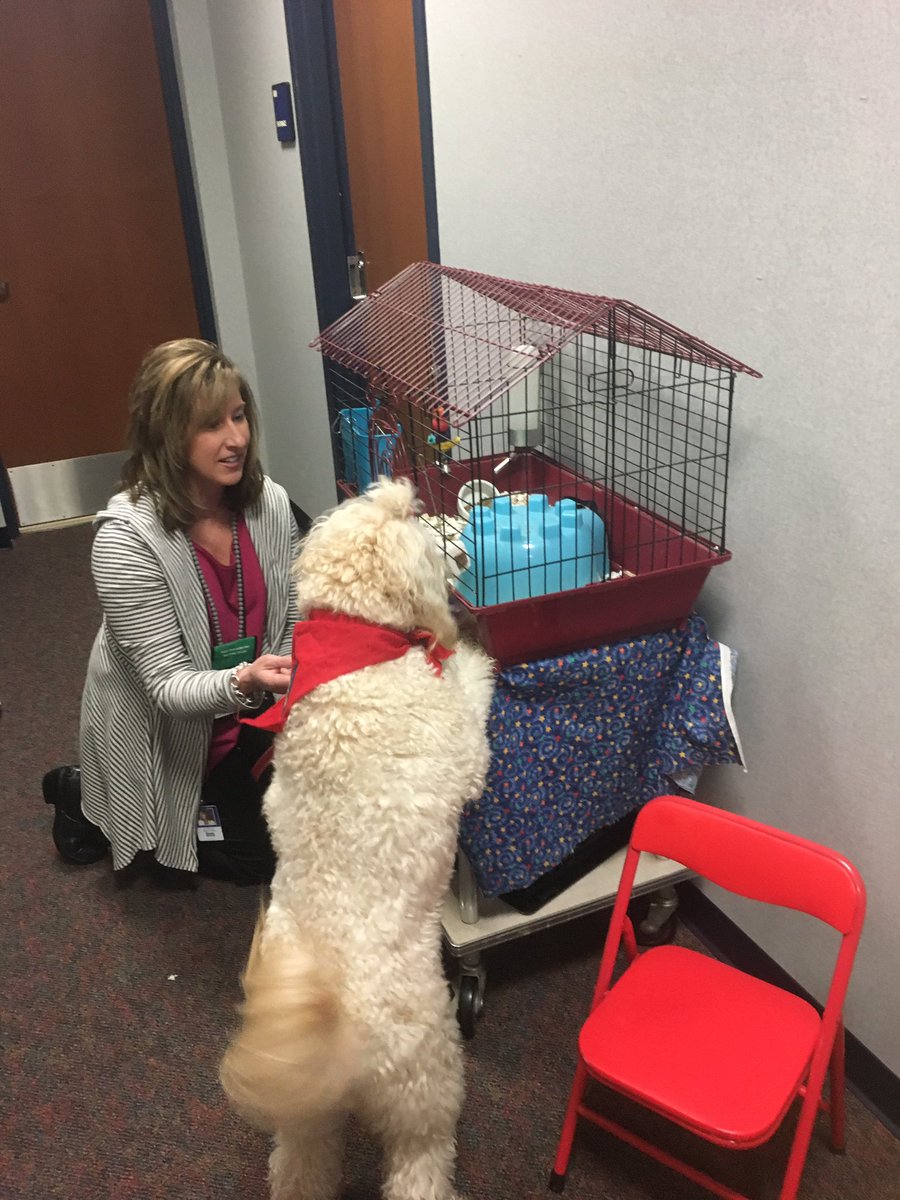 npewildcats's tweet image. @LoriPVinson @infopublicd1 A great visit with Millie today &amp;amp; we love Dr. Vinson and all she does for #d1technology #weare1 @amybluejellybug