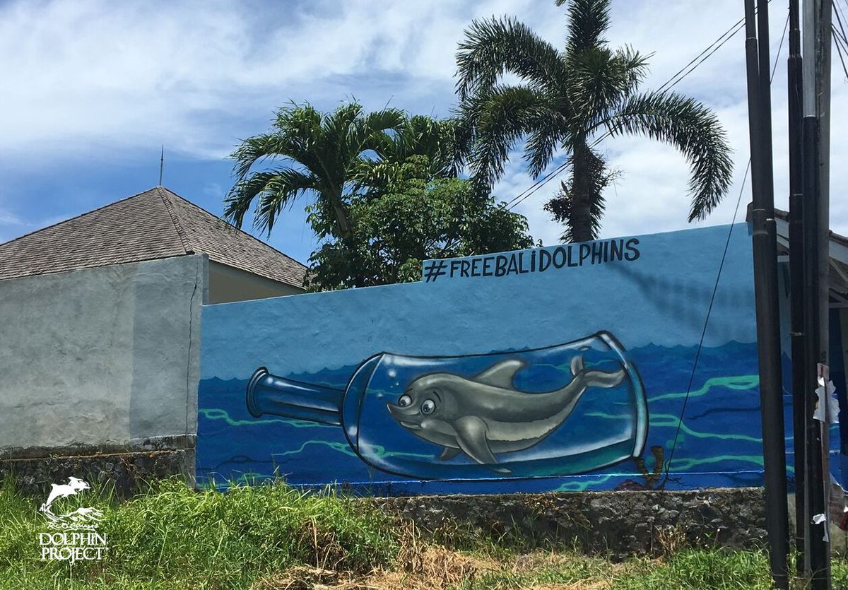 Dolphin_Project's tweet photo. Message in a 🍼 ➛Powerful mural up in Bali by @sleeck.id for our #FreeBaliDolphins campaign. #StopSirkusLumba 🐬 https://t.co/63CvJUJCBg https://t.co/Ab4i9j7euF