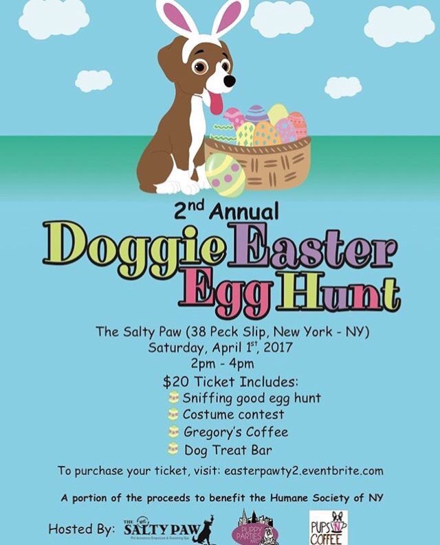 PupsNCoffee's tweet photo. Who's coming tomorrow ?! Who, who, who, who 🐶🐰💐🐾 https://t.co/Uh88aJG8sI