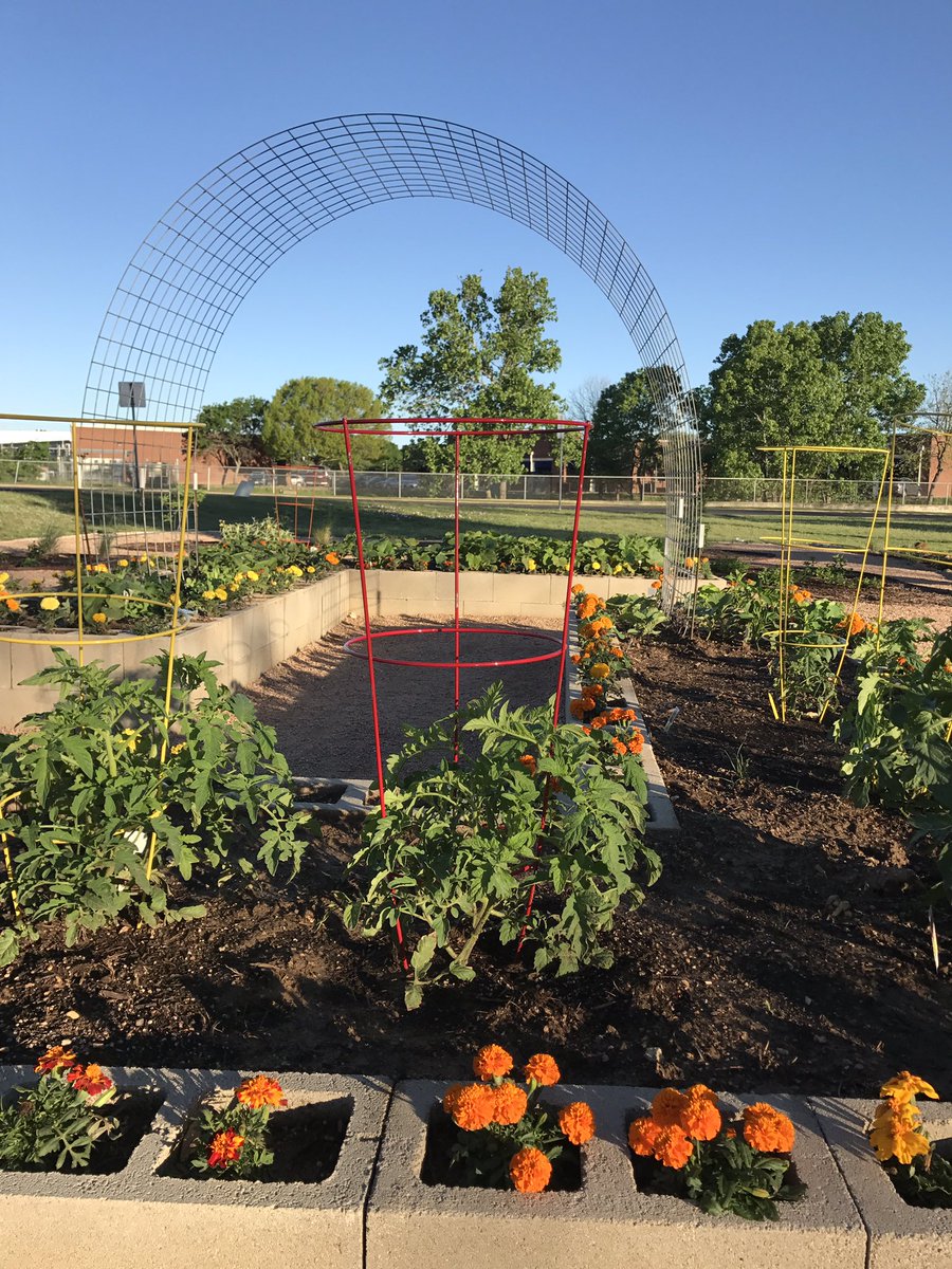 Spicewood Elementary (@spicewoodpyp) on Twitter photo We spy a green tomato! Come by our Teaching Garden to check out what's popping up w/ this beautiful spring weather. <a href="/SWE_PTA/">Spicewood PTA</a> We spy a green tomato! Come by our Teaching Garden to check out what's popping up w/ this beautiful spring weather. <a href="/SWE_PTA/">Spicewood PTA</a>