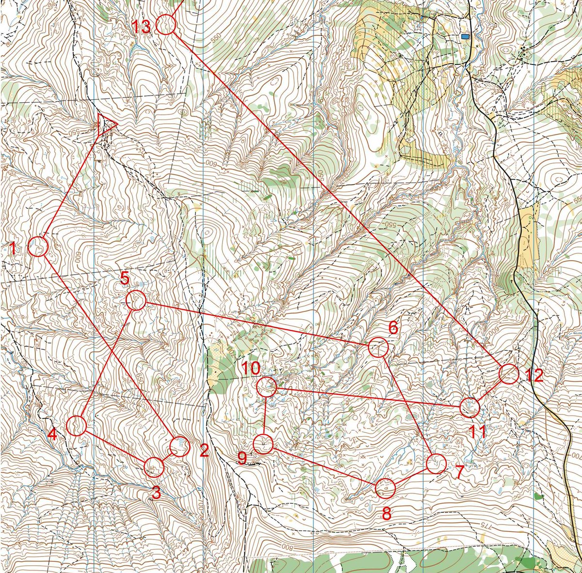 Ukrainian champs in long (elongated distance) today. 1 Kratov, 2 me, 3 Ushkvarok. Same place as EOC 2000 Long final.
