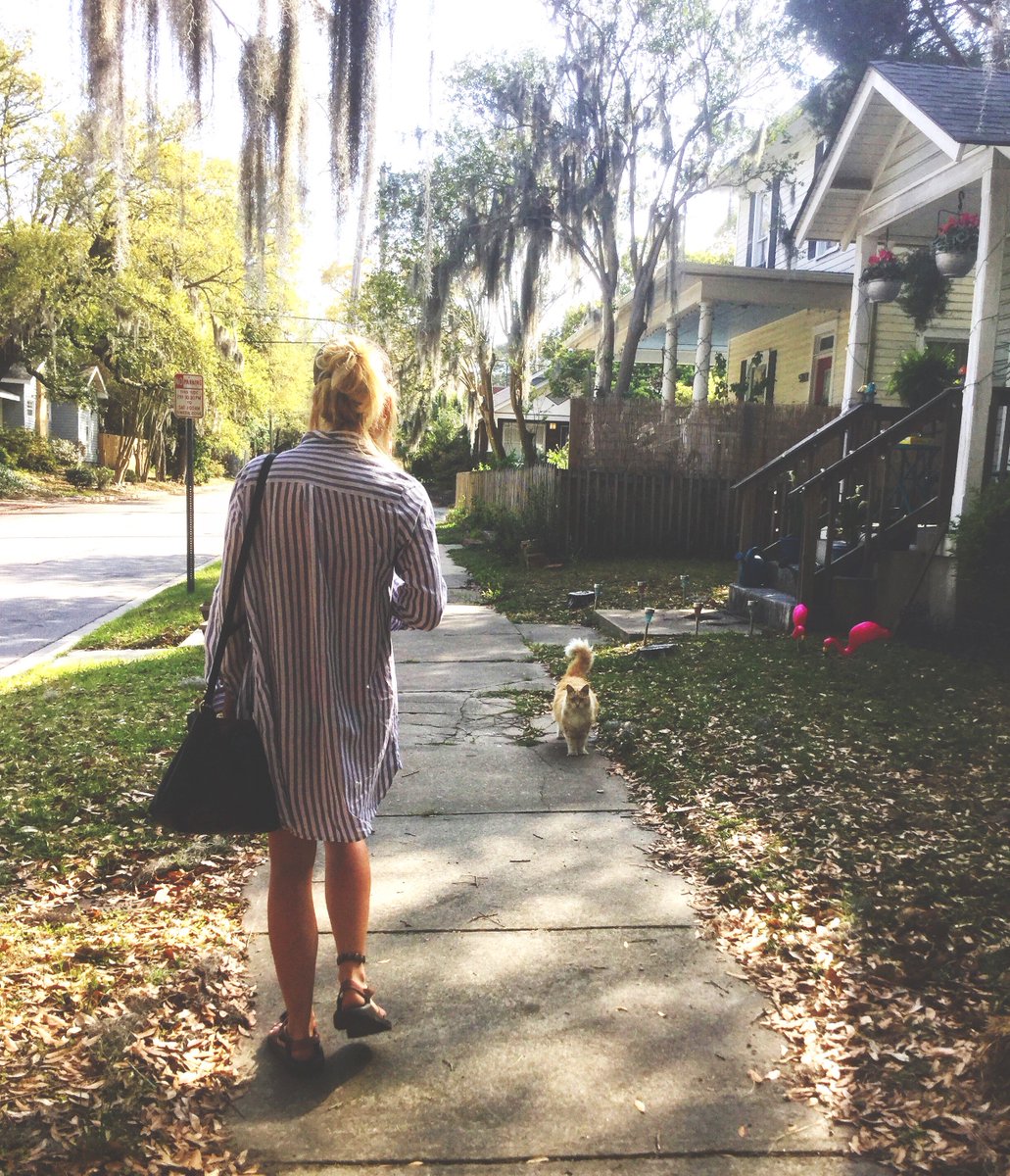 maryjtblige's tweet photo. It's all about who you meet along the way #muse #hikitty https://t.co/NVHtMLrufw