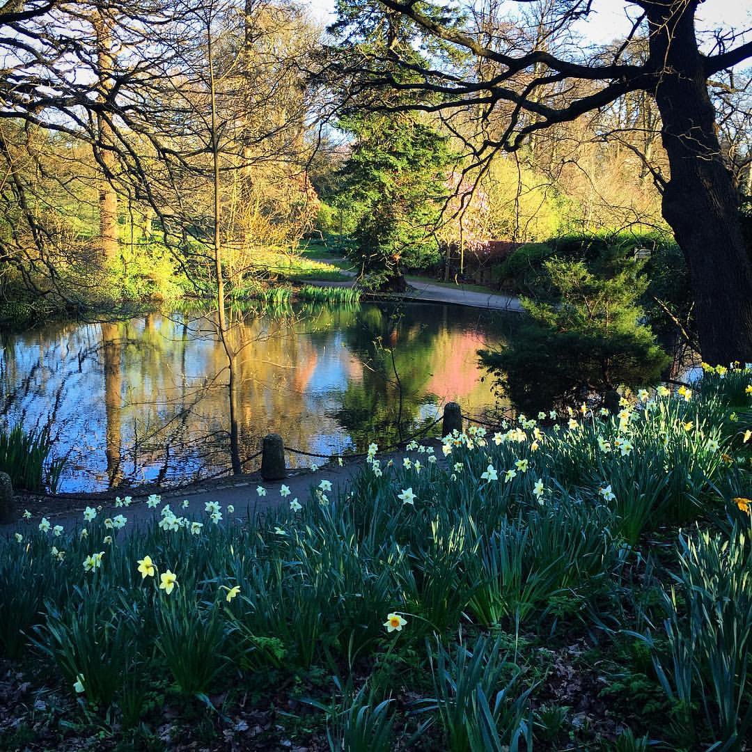 WimbledonVil's tweet photo. Spring time in Cannizaro Park! 

#spring #cannizaropark #wimbledon https://t.co/VnLcwRsiom