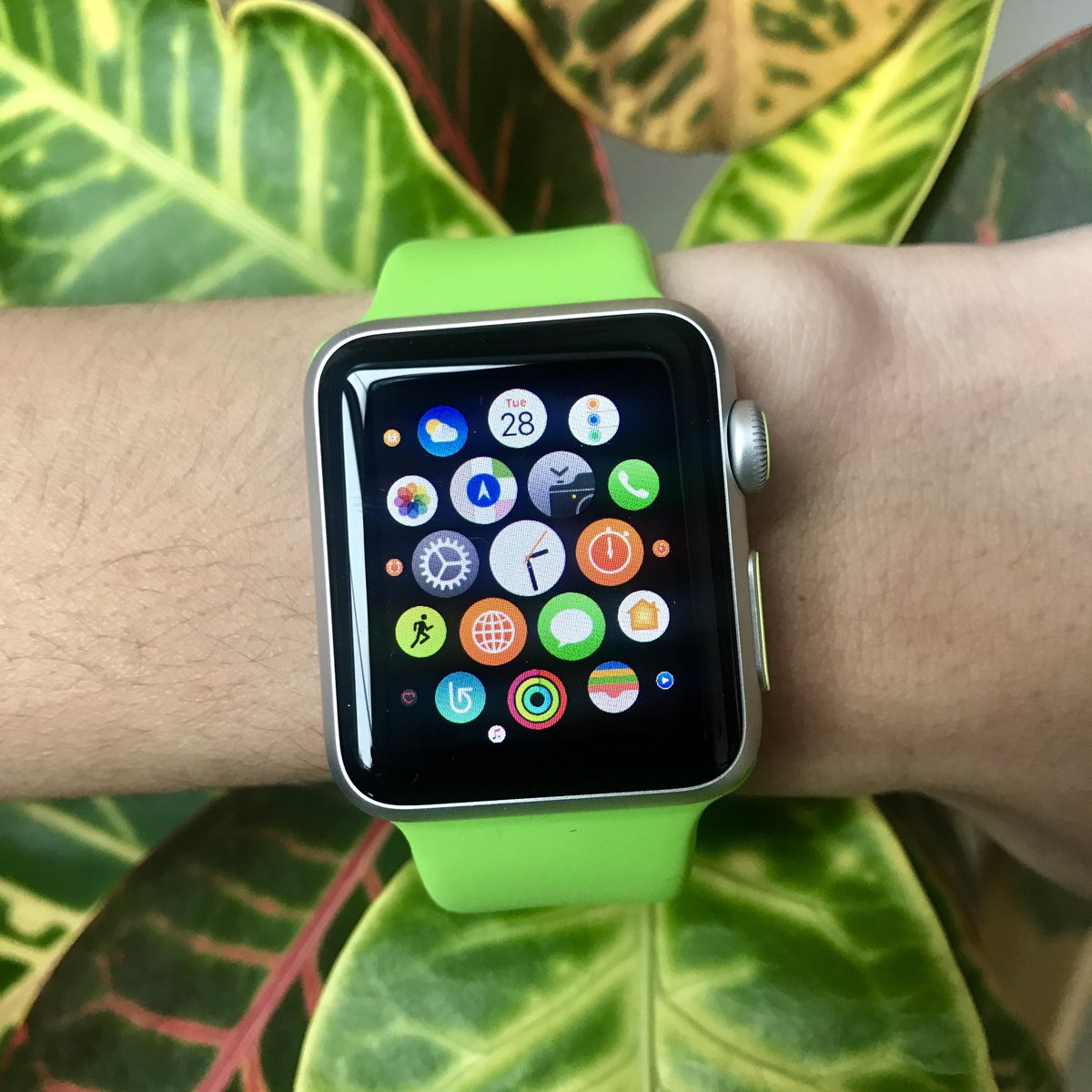 GetGadgetWraps's tweet photo. Green scene πΏ
Pictured: #HyperFluorescent #Yellow paired with our #Green Watchband #gadgetwraps #applewatch https://t.co/w7KAuhVyC1