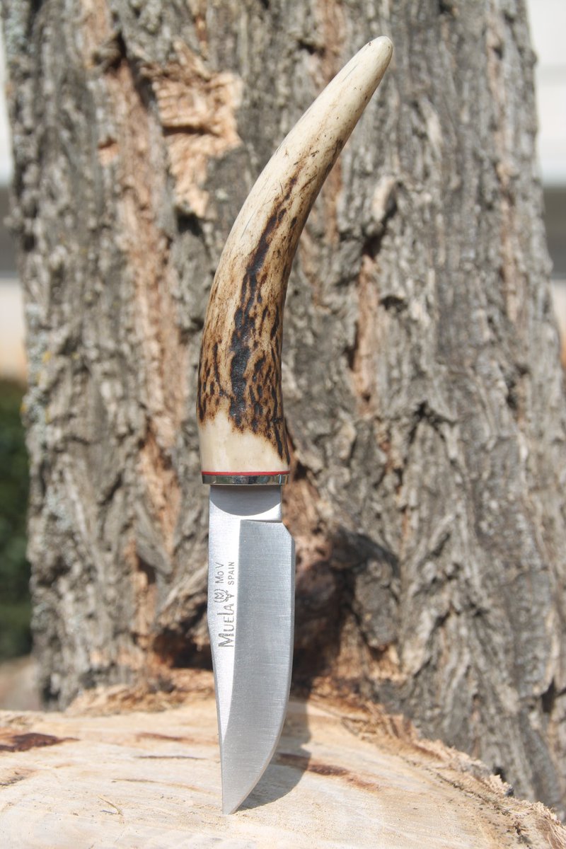 Muelaknives's tweet photo. Muela BW-6C, cómodo y preciso!
#MuelaKnives #astaciervo #fundacuero #CuchillosMuela #cuchillodecuello #knives #neckknives #Outdoor https://t.co/pcscpmpGId