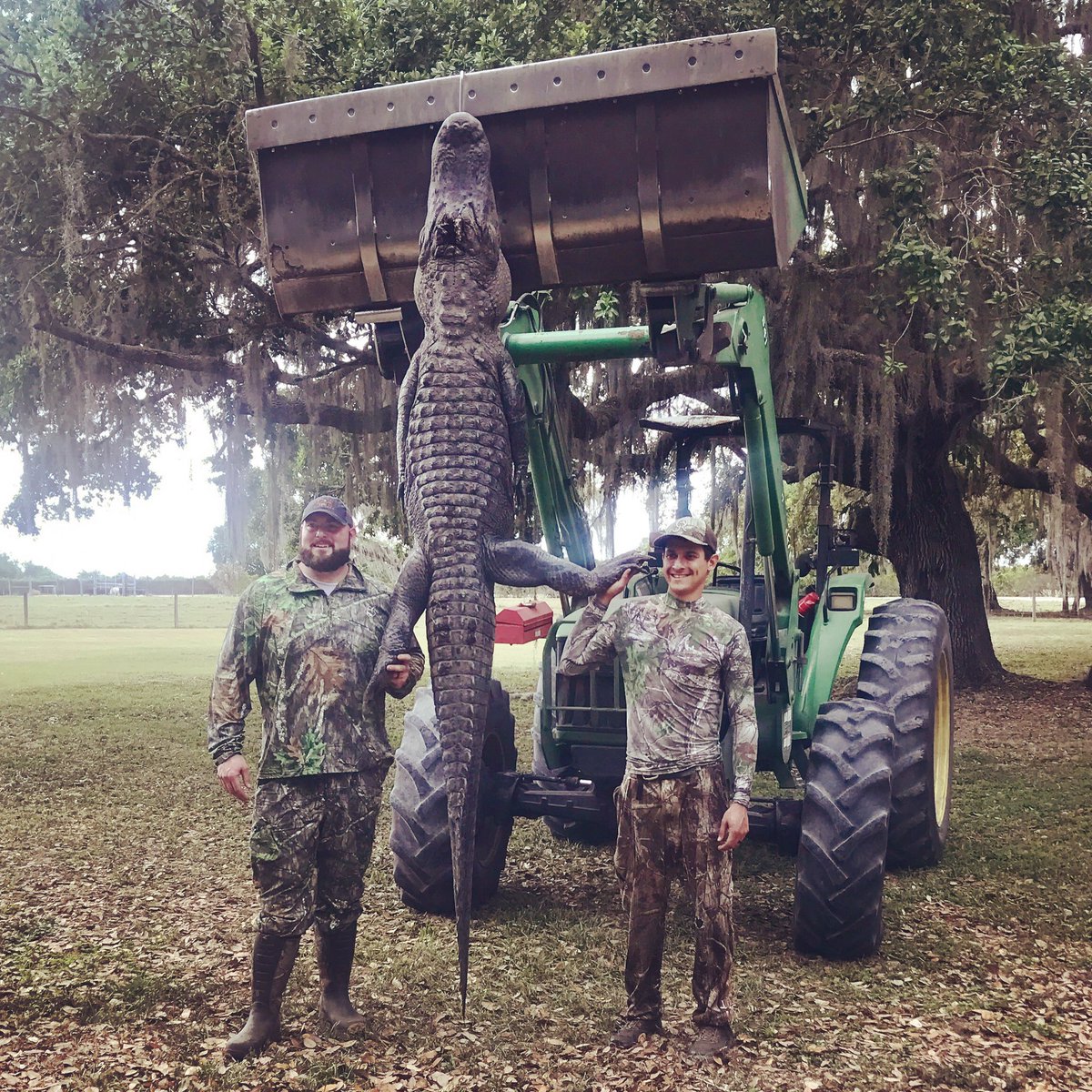 Schaap1984's tweet photo. Saving the dogs one Gator at a time. #gator #gatorhunting #hunting #whackandstack #perfectshot #sofun #turkey #turkeyhunting #florida https://t.co/6iR8R0cDKA