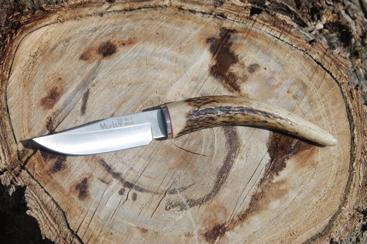 Muelaknives's tweet photo. Muela BW-6C
#MuelaKnives #astaciervo #fundacuero #CuchillosMuela #cuchillodecuello #knives #neckknives #Outdoor #Cuchillos https://t.co/LpXVoCxv5g