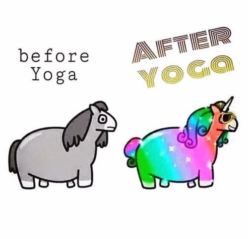 YogaOnGaia's tweet photo. Happy Friday beautiful souls! Enjoy a quick 15-minute practice to start your day off right! https://t.co/DbIrBwqwbX https://t.co/qj1JepLf04