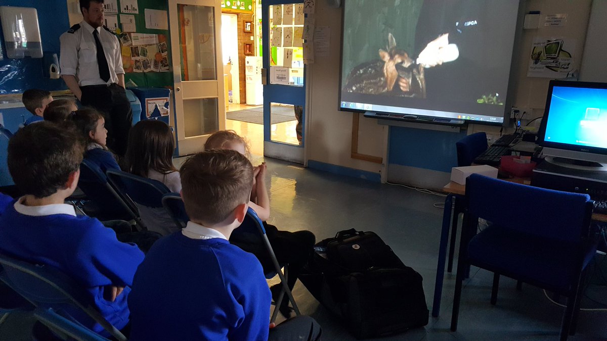 BothkennarC1's tweet photo. Everyone enjoyed an informative and entertaining visit from SSPCA today @BothkennarPS https://t.co/uoPVP9RpcN