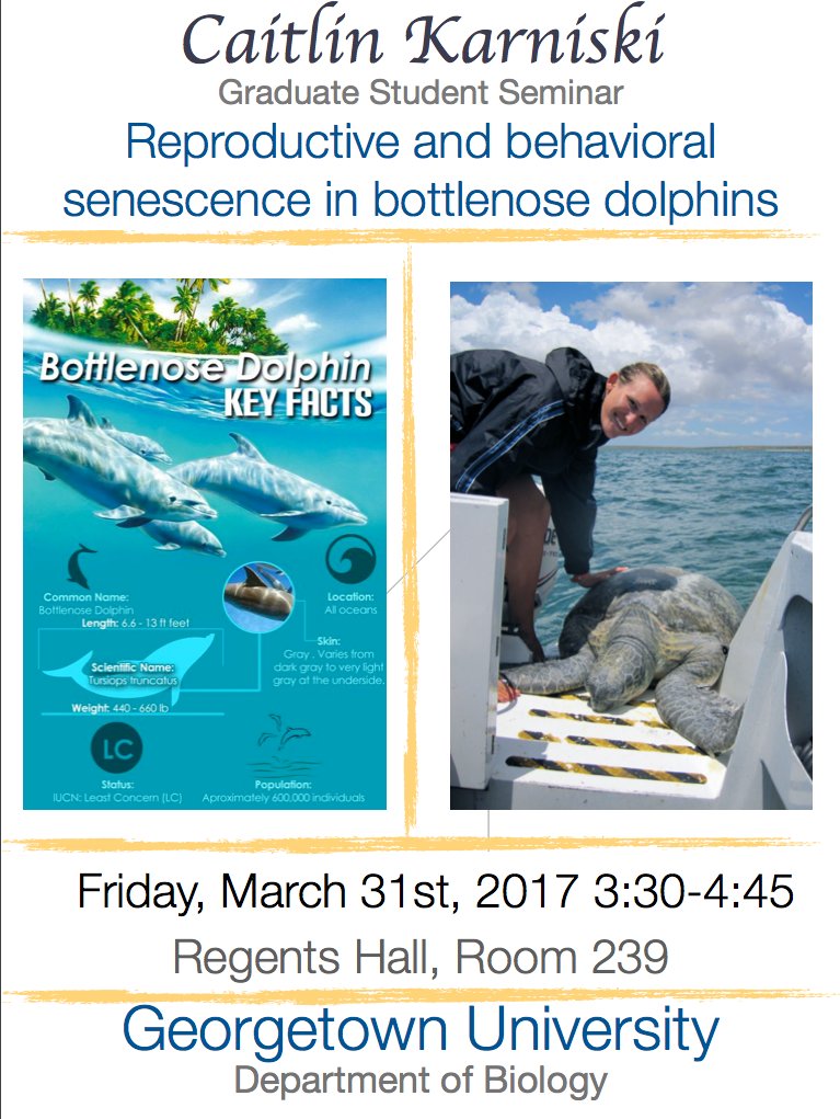 GUBiology's tweet photo. #GraduateStudentSeminar this week is held by Caitlin Karniski on behavior and reproduction in bottlenose #dolphins! #GradStudentSupport https://t.co/mjrvMsDKaT