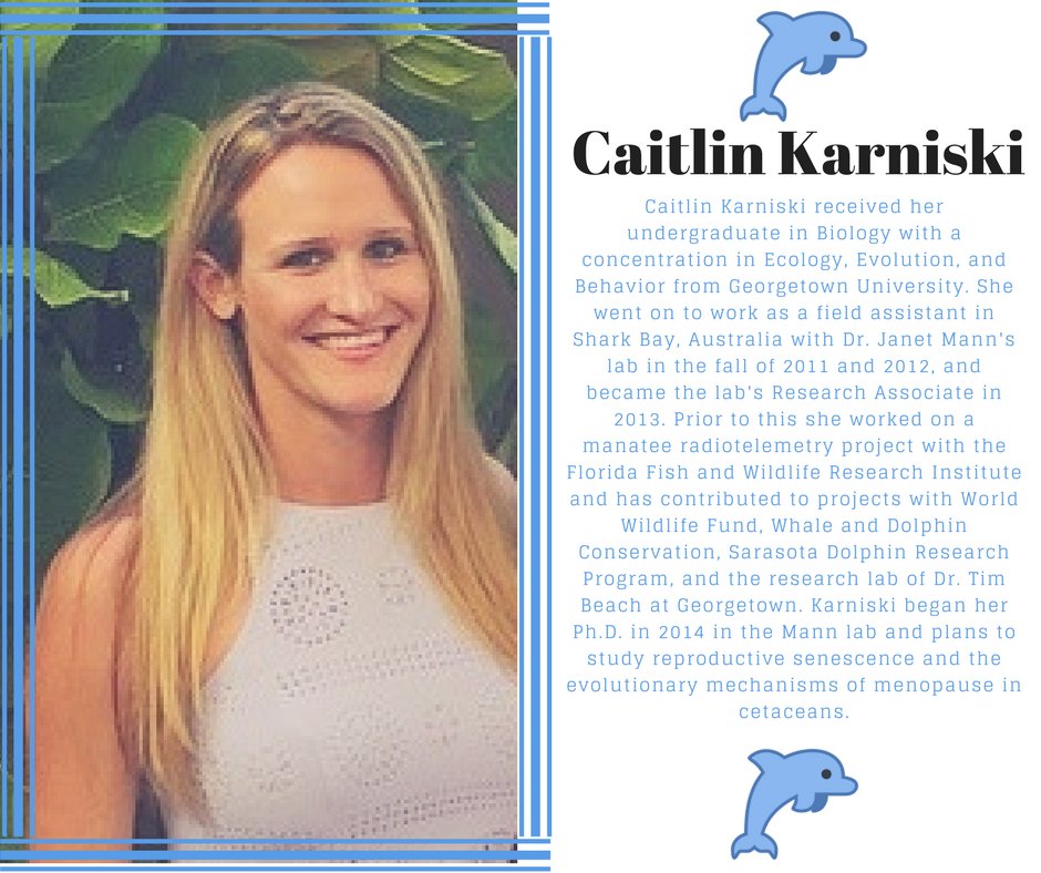 GUBiology's tweet photo. #GraduateStudentSeminar this week is held by Caitlin Karniski on behavior and reproduction in bottlenose #dolphins! #GradStudentSupport https://t.co/mjrvMsDKaT