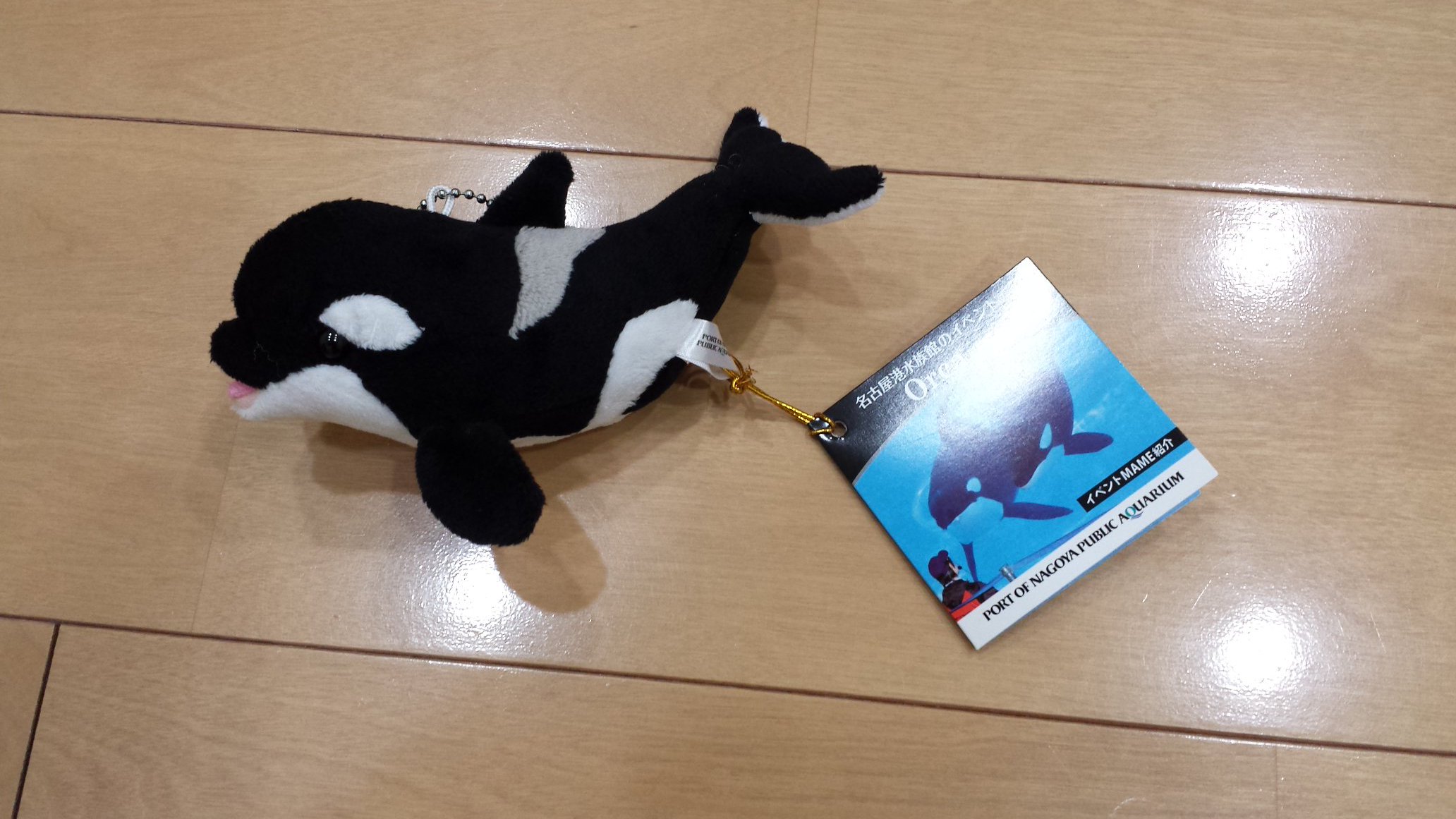 名古屋港水族館 シャチ ぬいぐるみ