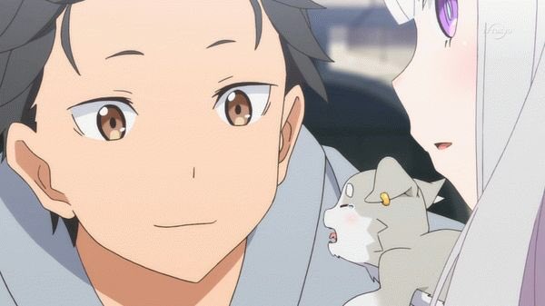 С нуля пособие по выживанию в альтернативном мире. Аниме зеро жизнь в альтернативном мире с нуля. Re zero жизнь. Жизнь в альтернативном мире с нуля 2 сезон. Ре зеро жизнь с нуля.