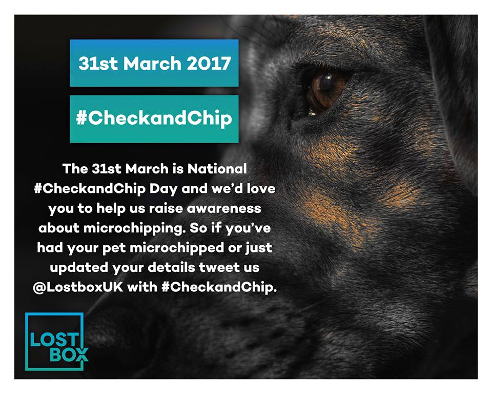 LostboxUK's tweet photo. Last year over 37,000 dogs were left unclaimed in kennels as they weren't chipped or had out of date details! Remember to #CheckandChip! RT! https://t.co/N6jvJPxuSk