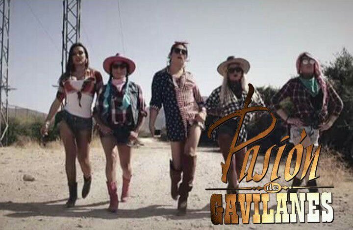 BototaFox's tweet photo. Que son pesaoooos 😂 https://t.co/wtwY0r6fUK
