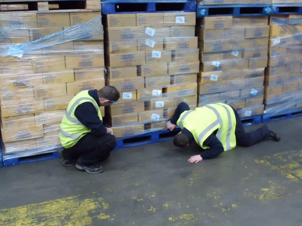 ProtectahomePC's tweet photo. Looking for a professional, experienced @britpestcontrol accredited commercial Pest Control Service? Speak to our team on 0800 055 6966. https://t.co/9fxs475S5p