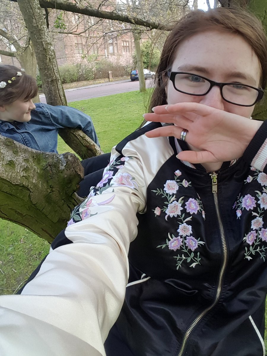 whats in a tree whats in a tree