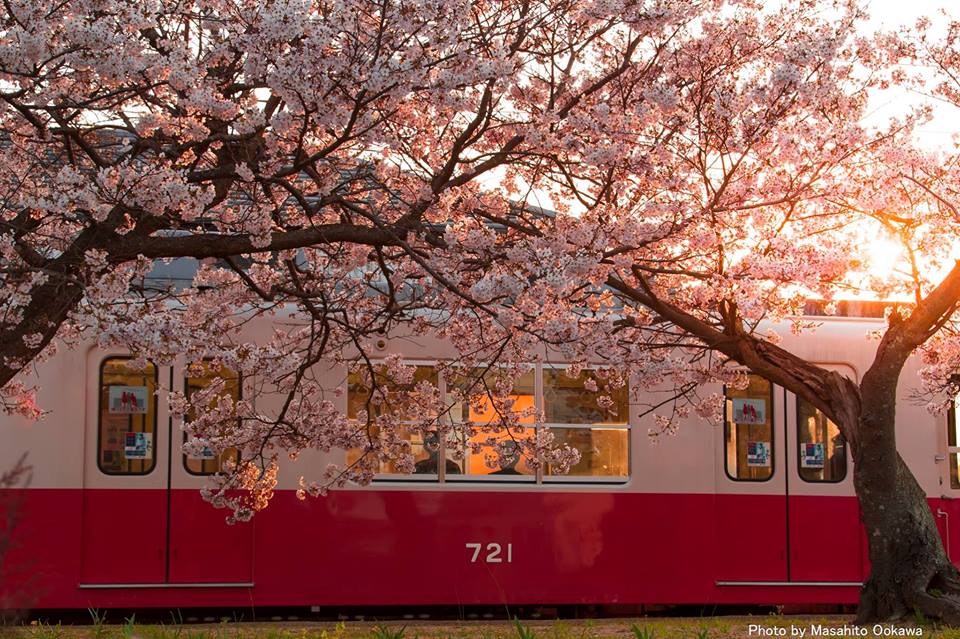 wecelnimo's tweet image. It's Friday, we've all had a hard week and now its time for some well-earned rest! You deserve it!! #Traintwitter