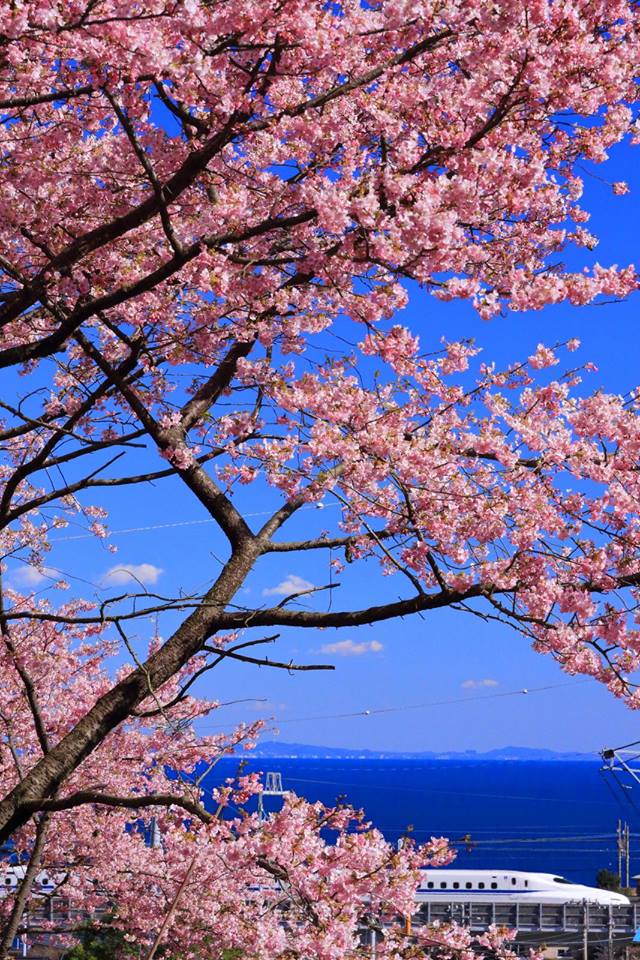 wecelnimo's tweet image. It's Friday, we've all had a hard week and now its time for some well-earned rest! You deserve it!! #Traintwitter