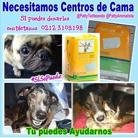 carotasazules's tweet photo. De: @PattyTwitteando #Ayuda #Difunde #CaracasVzla #Comparte #CentrosDeCama https://t.co/upyZULO5YA