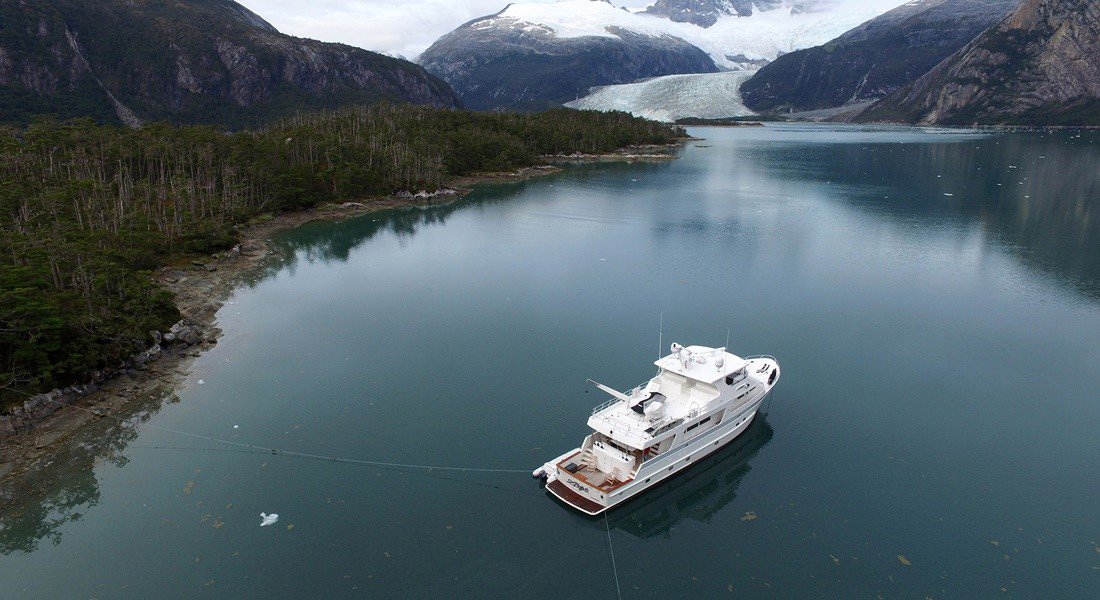 Rounding the Horn Aboard Argo rite.ly/jqPb #dog #rhino