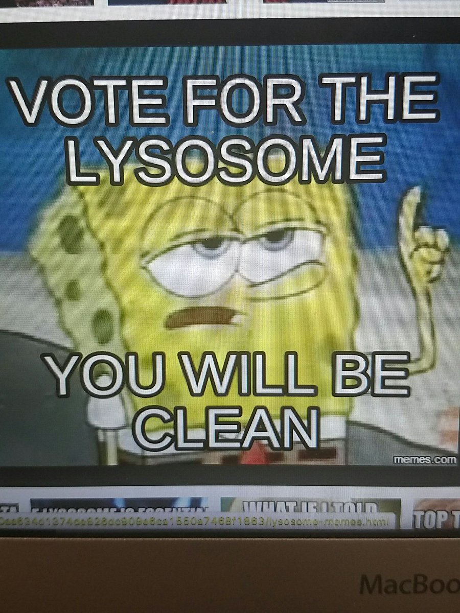 Vote for lysosomes its the right thing to do😆😆 <a href="/KHSGibbons/">Sean Gibbons</a> #organellewars