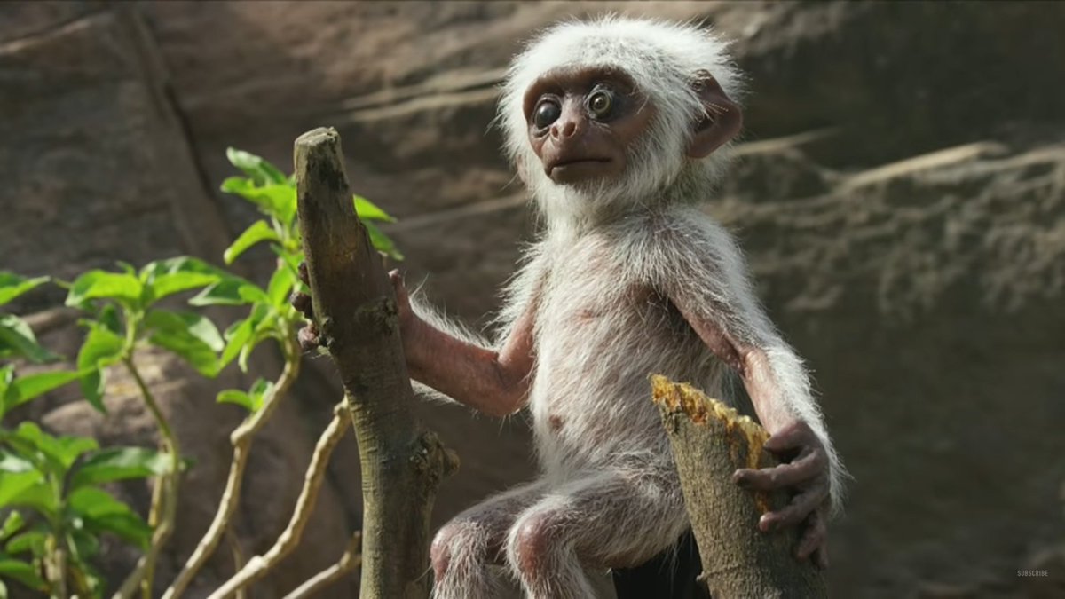 digitaljunkfeed's tweet photo. The #internet is in shock over #monkey grieving over the #death of a robot monkey
@BBCOne
#spy #bbc #Jungle
https://t.co/a8akUPWWY5 https://t.co/uT2jvYMT2o