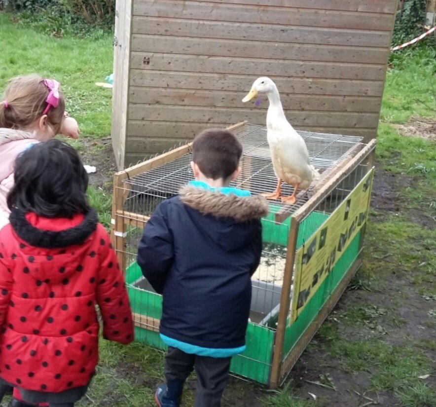 fishersmobile's tweet photo. Another great school visit thankyou to everyone at St Johns Primary School in Swinton #fishersmobilefarm https://t.co/ygiiL9n76f