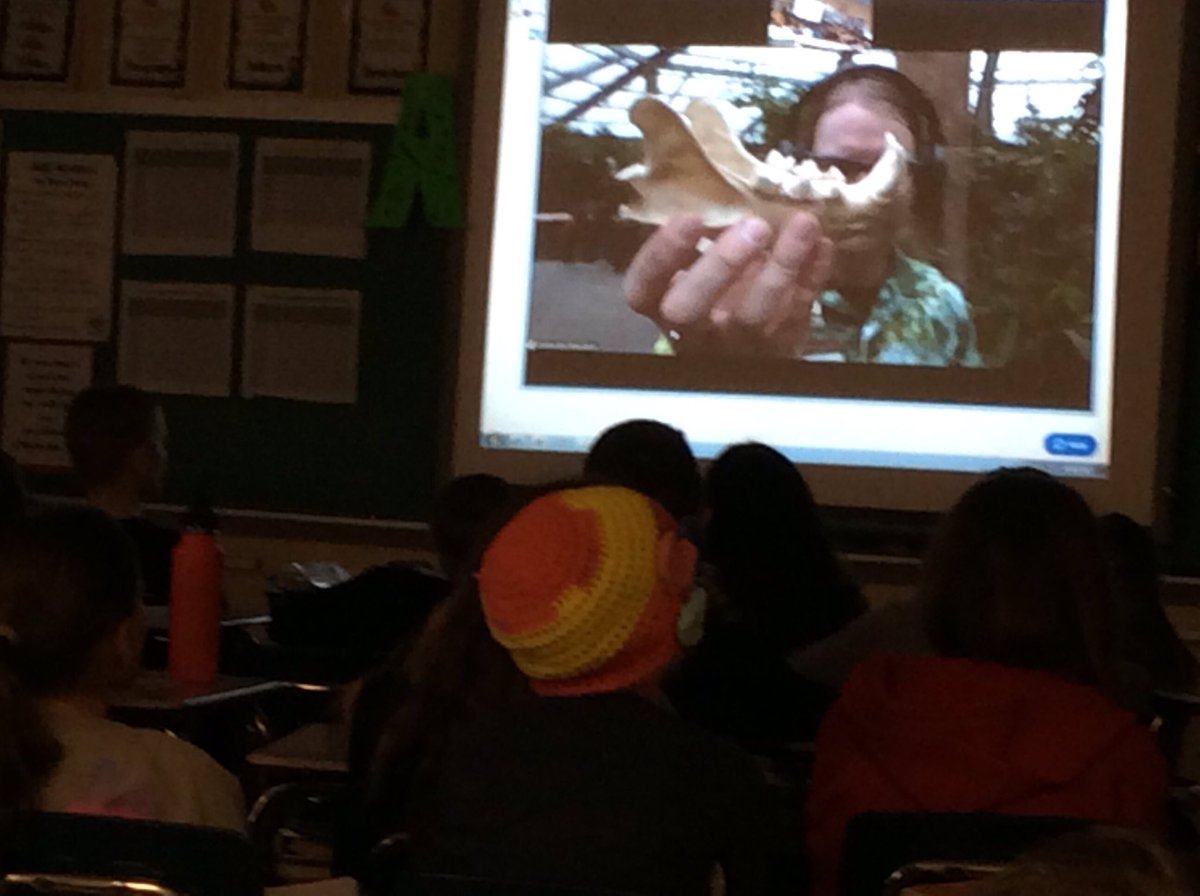 heystryker's tweet photo. @OmahaZoo Peter shows us animal bones.Herbivore or carnivore? #virtualtour @WCSD_K12 #education https://t.co/X0WmS89J5I