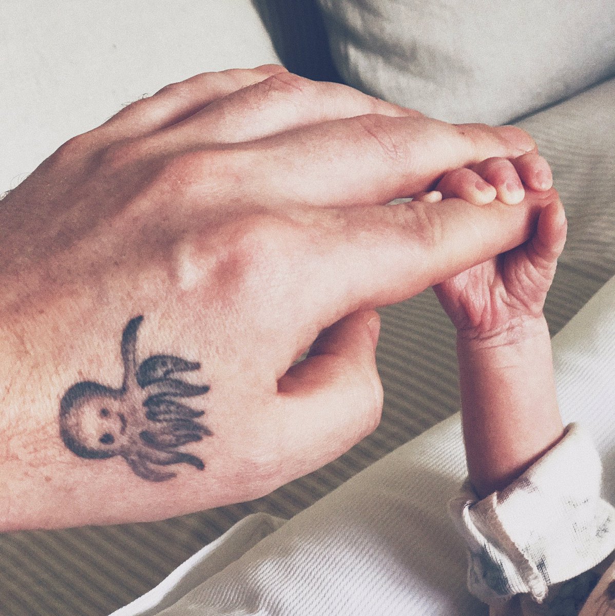 FriendlySJs's tweet photo. she's here 👶🏼💕
#babysacconejoly https://t.co/jhBOoxTmpM