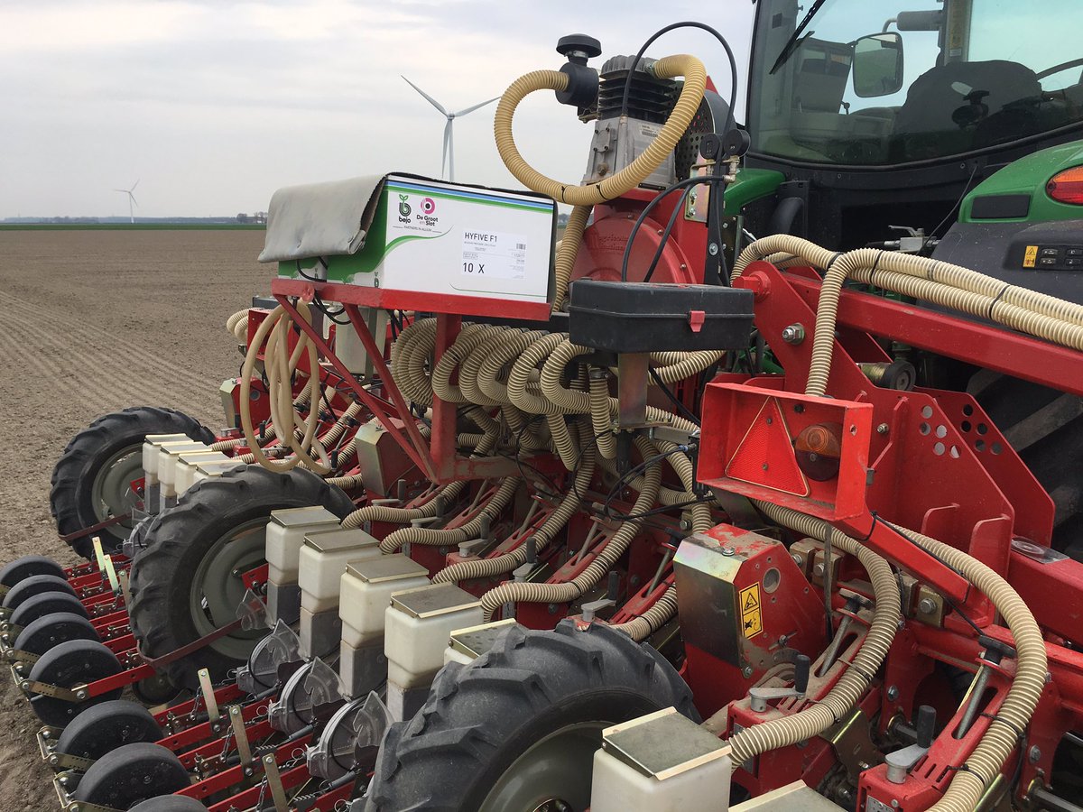 PetervanDamme1's tweet image. Uien zaaien. #hyfive