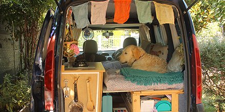 Nutrience_'s tweet photo. We need a van ASAP. https://t.co/RTB1WoUxJl https://t.co/ptKrpXdHev