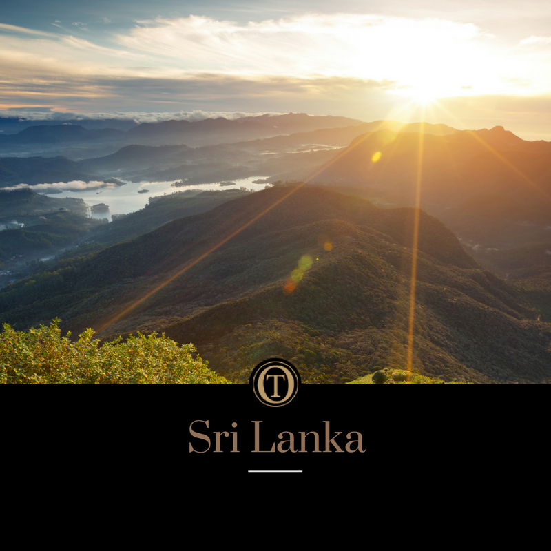 OundleTravel_'s tweet photo. Take a beautifully informative trip to a Tea Plantation in Sri Lanka this summer! Simply call: 01832 273600 https://t.co/Ep2DPkQt30