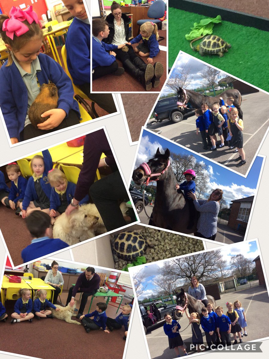 SCPSRecYear1's tweet photo. Bring your pet to school day! https://t.co/vOkGp1TSMG