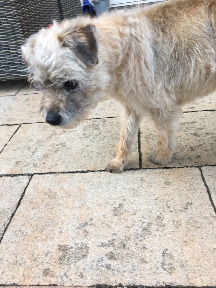 SaffiBorderT's tweet photo. Thank you for your warmth and support. Wish we could really all sit together on #saffisporch https://t.co/9bFMC7gMez