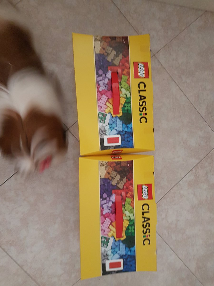 chanana_banana's tweet image. i primi di una lunga serie #legoaddicted