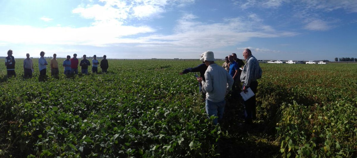 Francisco Ciucci tweet media