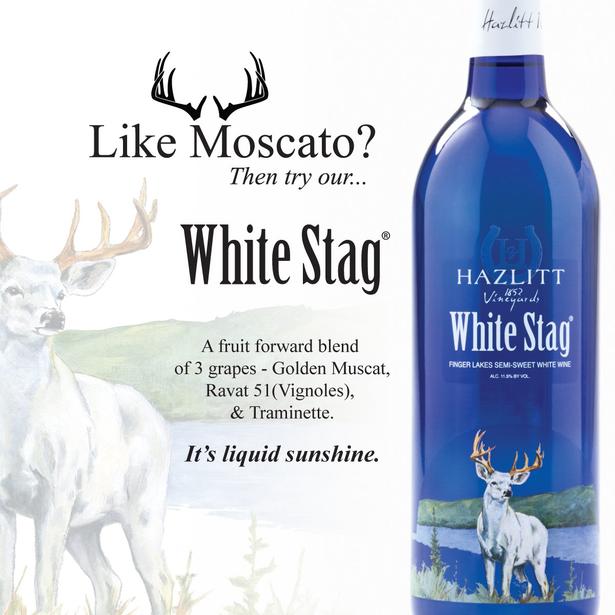Hazlitt1852's tweet photo. Celebrating spring with this delicous wine - White Stag! #featurewine #likemoscato #hazlitt https://t.co/wnn1IBvEnk
