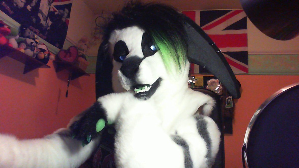 WolfLisa21's tweet photo. Unboxing fursuit Lupe Vernid awesome <3 <3 <3  @Keeatah 
#fridayfurry #furry #fursuit #Venid https://t.co/ElCQA3WSLY