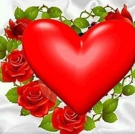 THE WORD (@abocden) on Twitter photo 