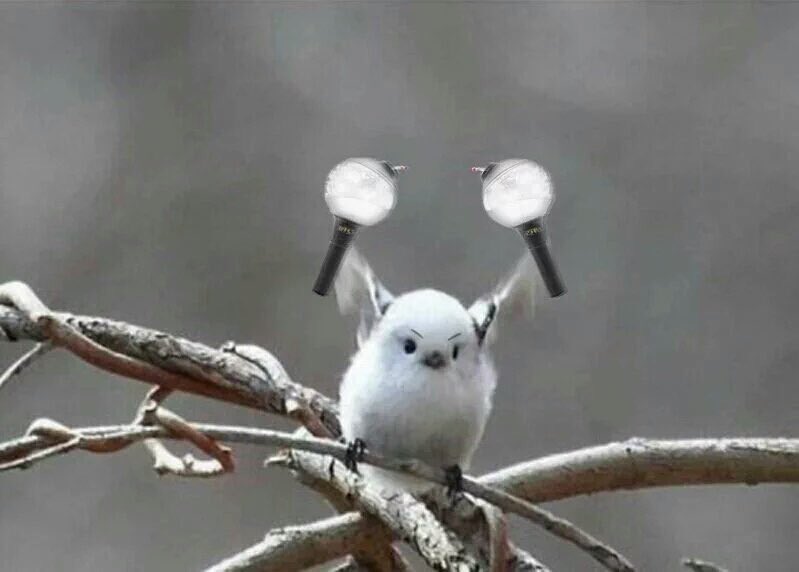 umailudida_bts's tweet photo. #ToBTS23Version
ATENÇÃO
A TAG MUDOU DE NOVO
ESSA É A NOVA TAG
SIGAM AS INSTRUÇÕES!
figthing! https://t.co/Ny3H51pbGV