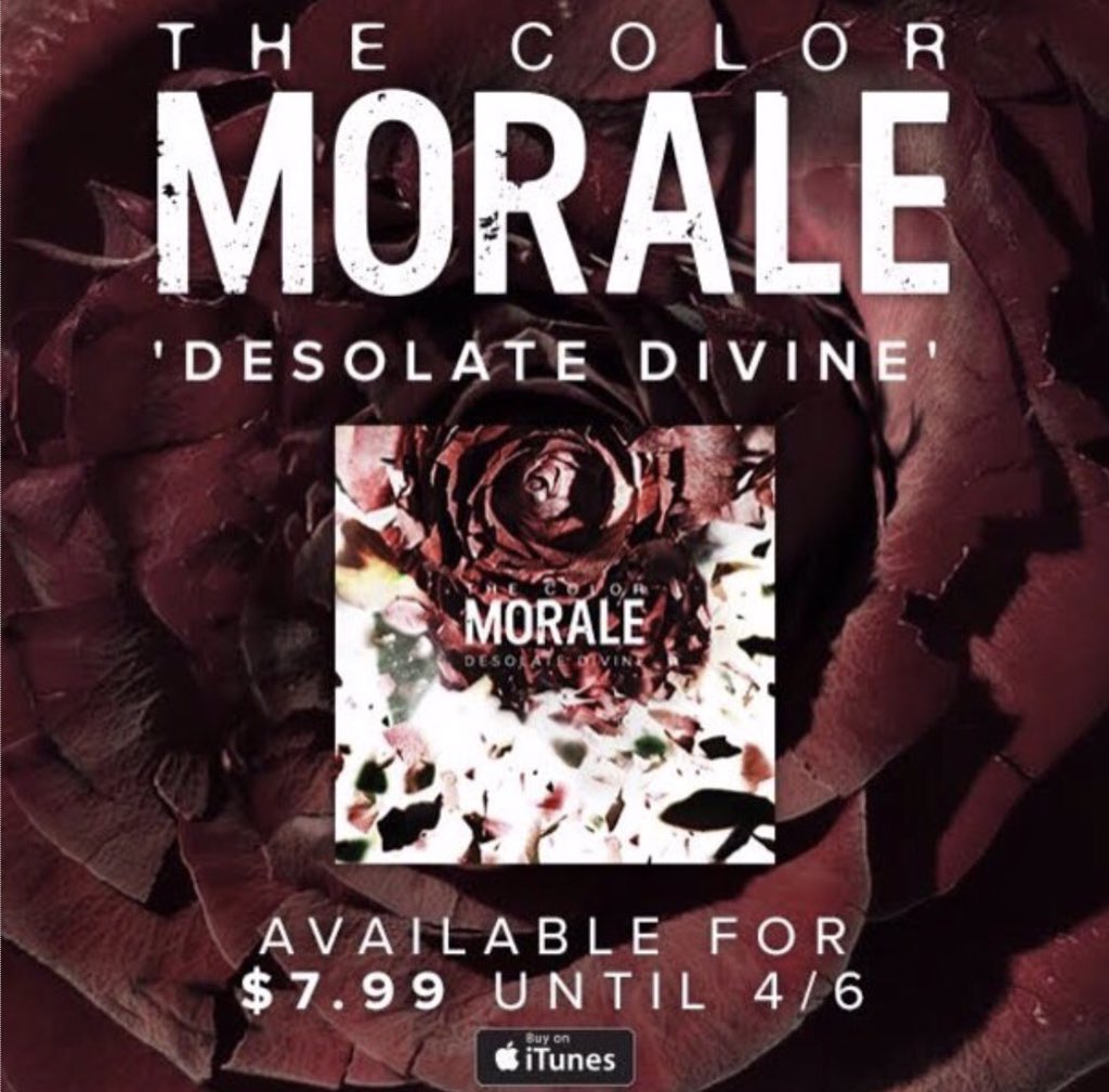 Desolate Divine is available on iTunes for only $7.99! Limited time only so get it before the promo ends! #thecolormorale #desolatedivine