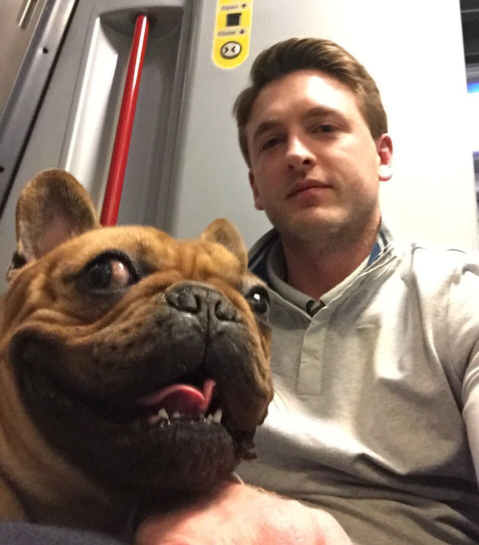 rodneythenipper's tweet photo. We're on our way... we're on our way 🎶 #GrimUpNorth #NewSettings #GravyInsteadOfLiquour #Brew #Woof https://t.co/Ze7KsKWAD5