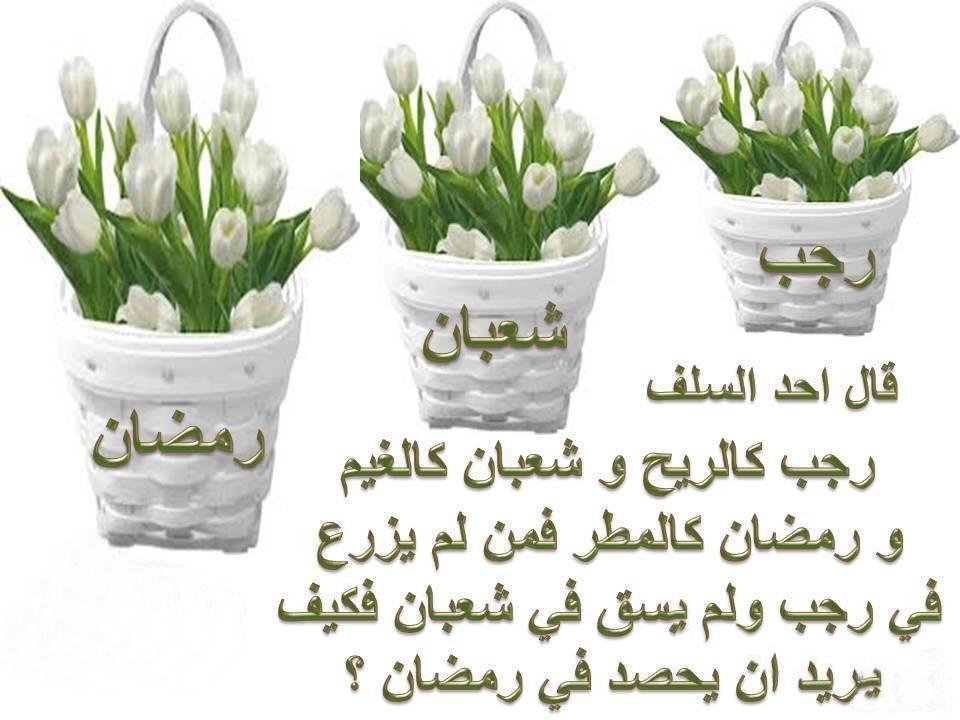 Nabil Atla (@nabilatla) on Twitter photo 