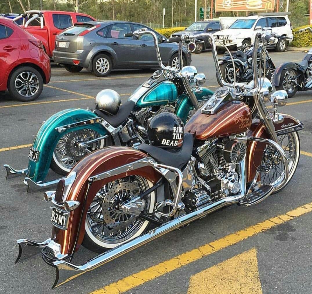 Porque las guapas suelen ir de a dos 🤔 ??

#Softail 

#HarleyDavidson 🔥

#SalidasHarley 

#Custom 

<a href="/harleydavidson/">Harley-Davidson</a>